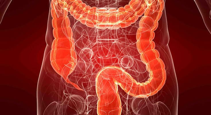 colonscopia robotica recensioni